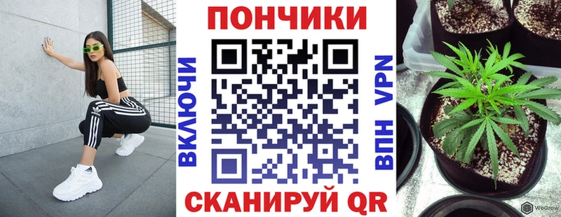 Продажа наркотиков Хадыженск Псилоцибиновые грибы Амфетамин ГАШ Каннабис Кокаин СК