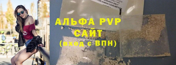 стаф Медногорск