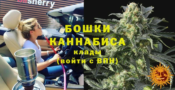 крисы Михайловск